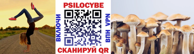 Галлюциногенные грибы Cubensis  Ворсма 